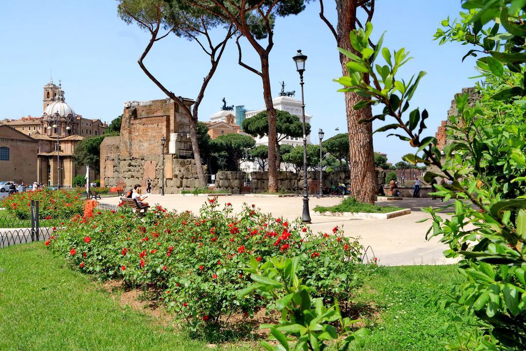 Charming Antonia 300 Mt From Colosseum * Rom